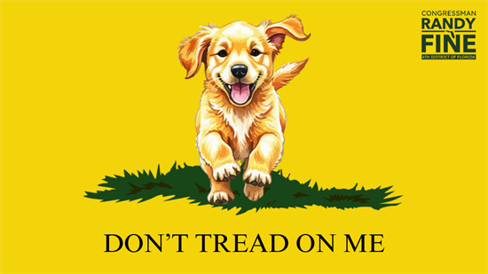 Don't Tread on Me Graphic Don't Tread on Me Graphic